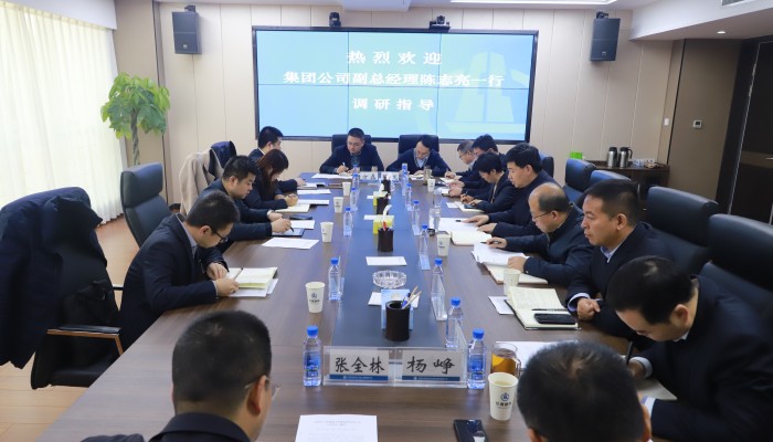 开云足球领导到生态公司、林投公司调研指导工作