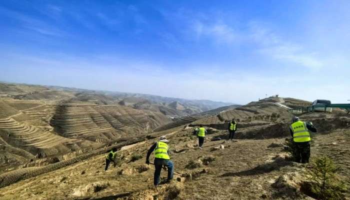 【“三抓三促”行动】临洮县陇中地区生态保护修复项目：奏响绿色奋进曲 攻坚生态新画卷