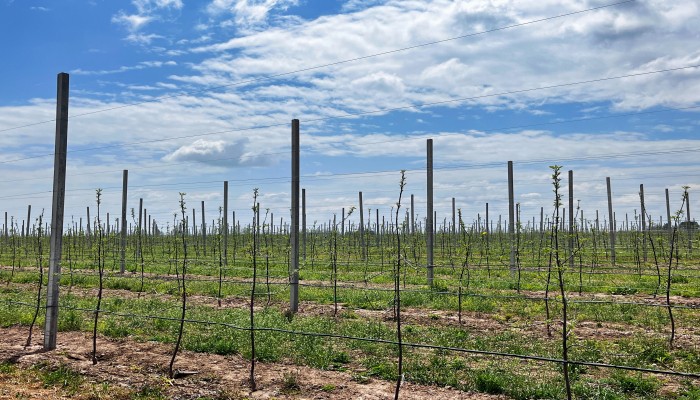 微信图片_20230417145456(1).jpg 微信图片_20230417145456(1).jpg